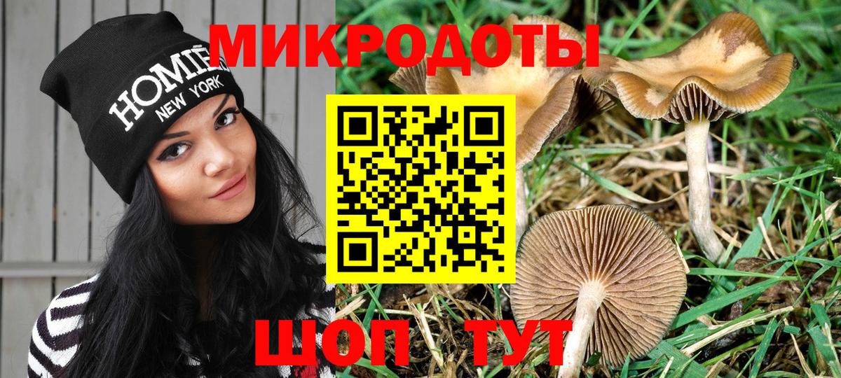 Псилоцибиновые грибы Magic Shrooms  Галлюциногенные грибы мухоморы  Хабаровск  Вход с VPN 