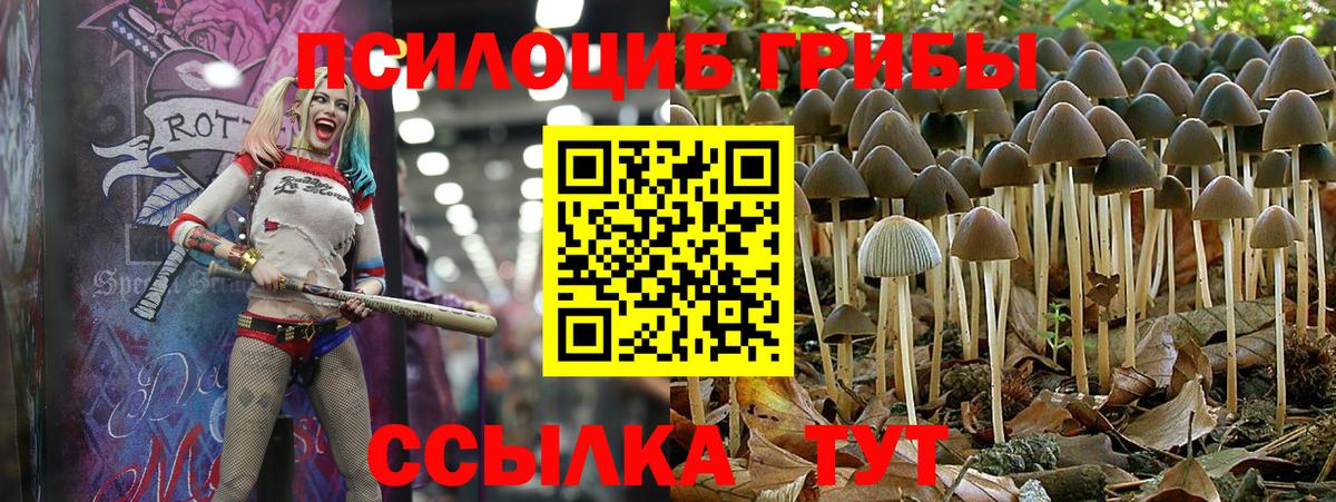 Галлюциногенные грибы GOLDEN TEACHER Хабаровск